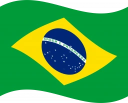 Brazil flag