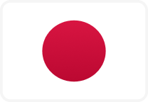 Japan World Cup team flag