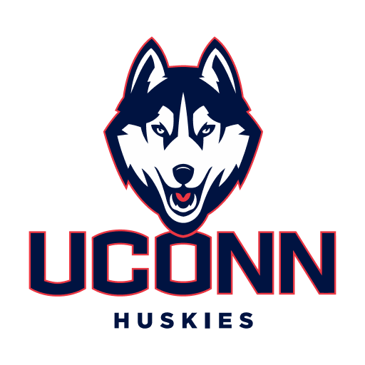 Connecticut World Cup team flag