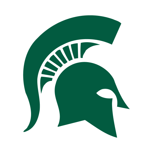 Michigan State team flag