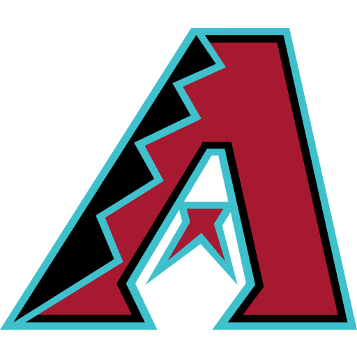 Diamondbacks World Cup team flag