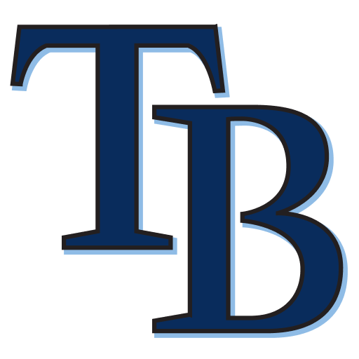 Tampa Bay Rays World Cup team flag