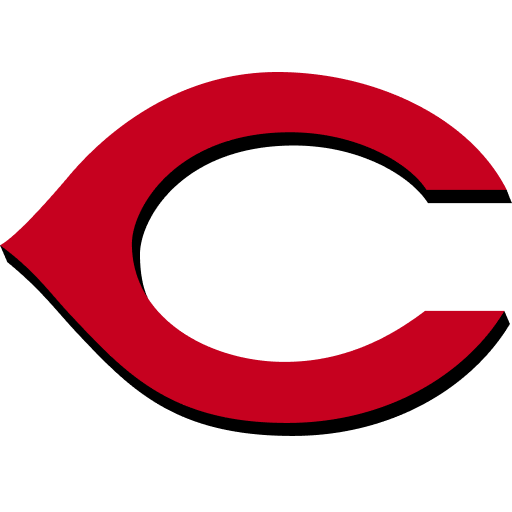 Cincinnati Reds World Cup team flag
