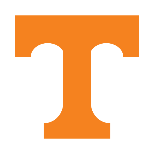 Tennessee World Cup team flag