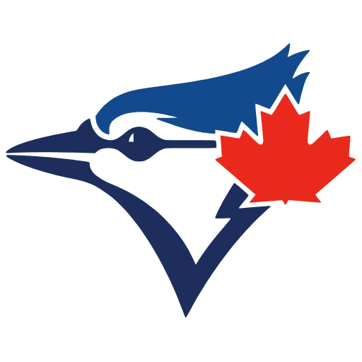 Toronto Blue Jays World Cup team flag