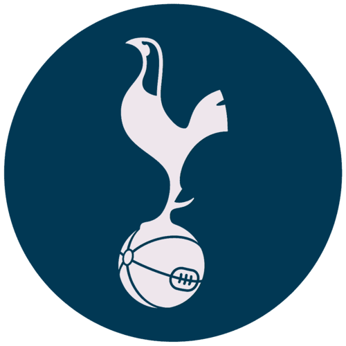 Tottenham World Cup team flag