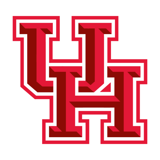 Houston World Cup team flag