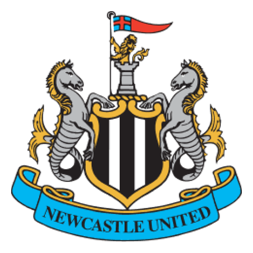Newcastle World Cup team flag
