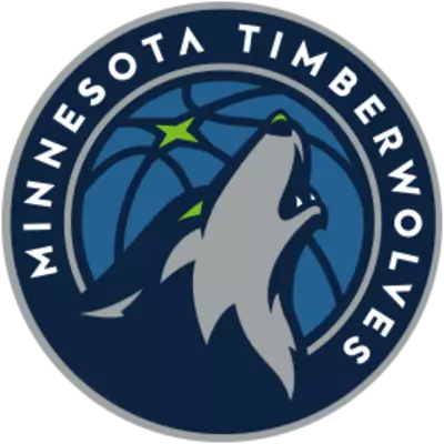 Minnesota T-Wolves World Cup team flag
