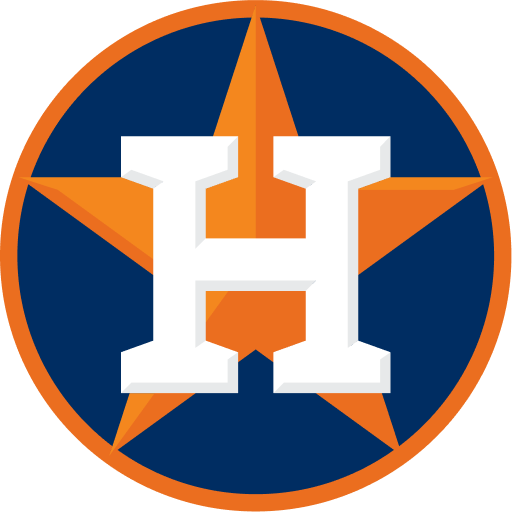 Houston Astros World Cup team flag