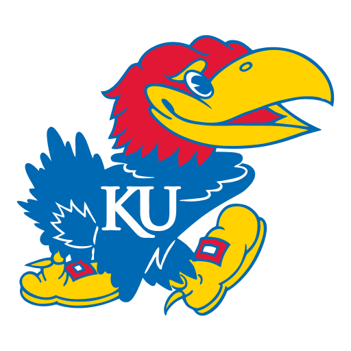 Kansas World Cup team flag