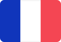 France World Cup team flag
