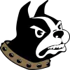 LATEST Trenton Kintigh NEWS
