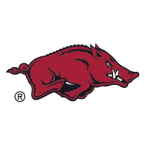 Arkansas FanDuel Total Home Logo